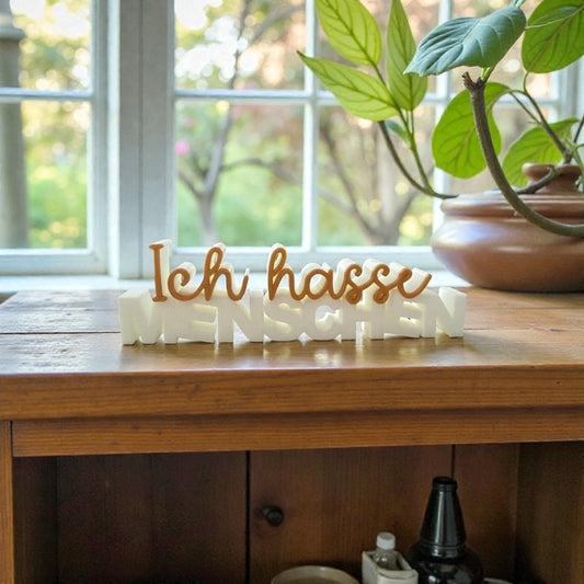 3D-Schriftzug „Ich hasse Menschen“ – ehrlich, frech & dekorativ
